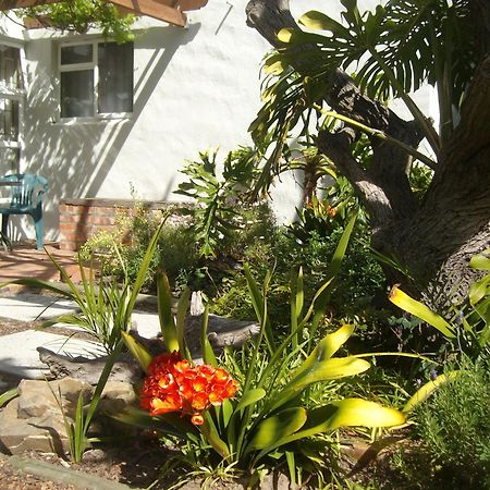 Be My Guest Lodge Bloubergstrand Rom bilde