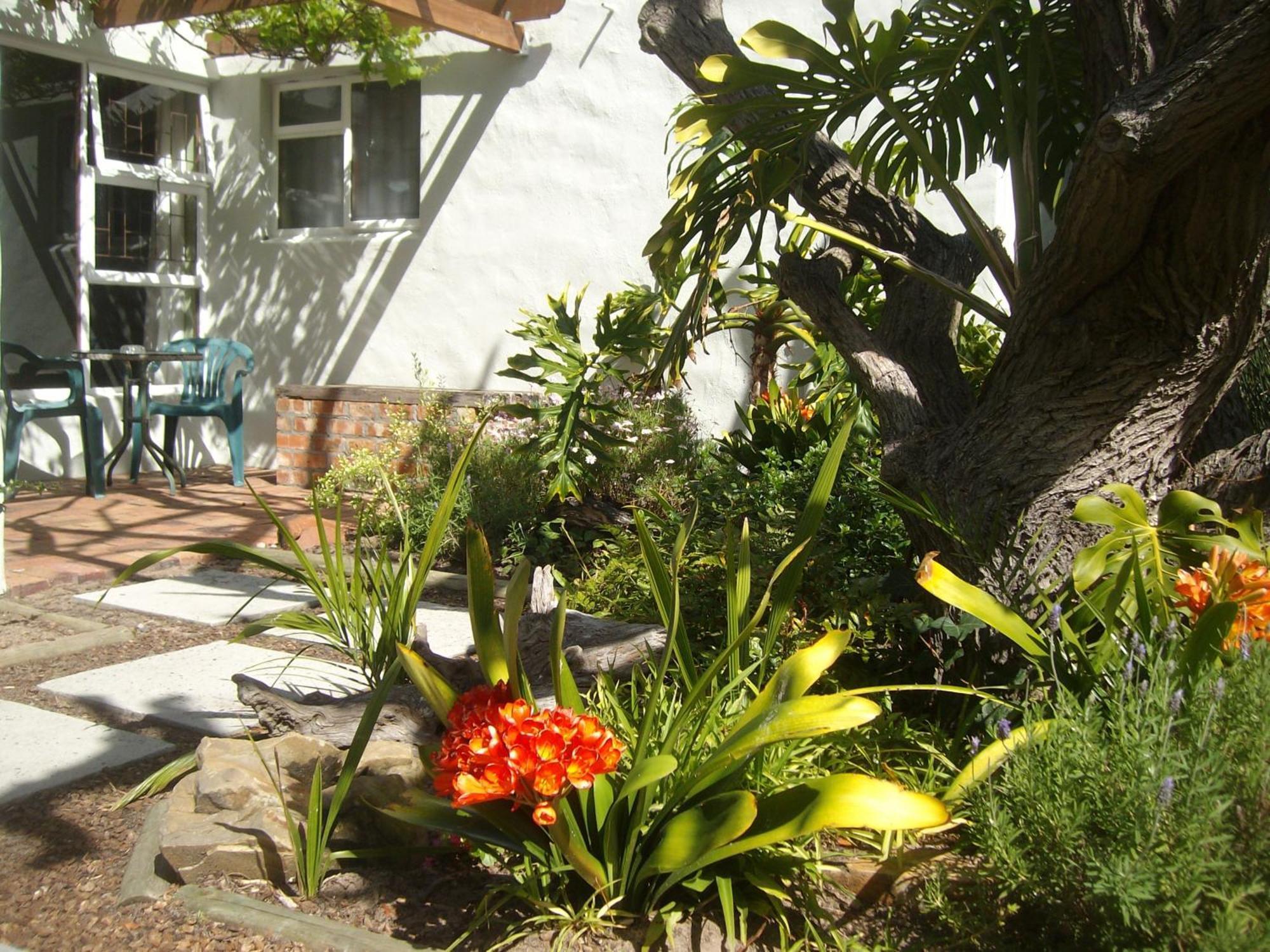 Be My Guest Lodge Bloubergstrand Rom bilde