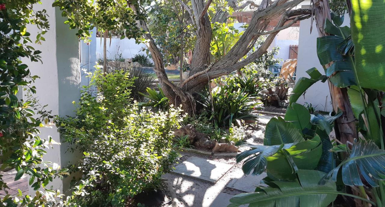 Be My Guest Lodge Bloubergstrand Eksteriør bilde