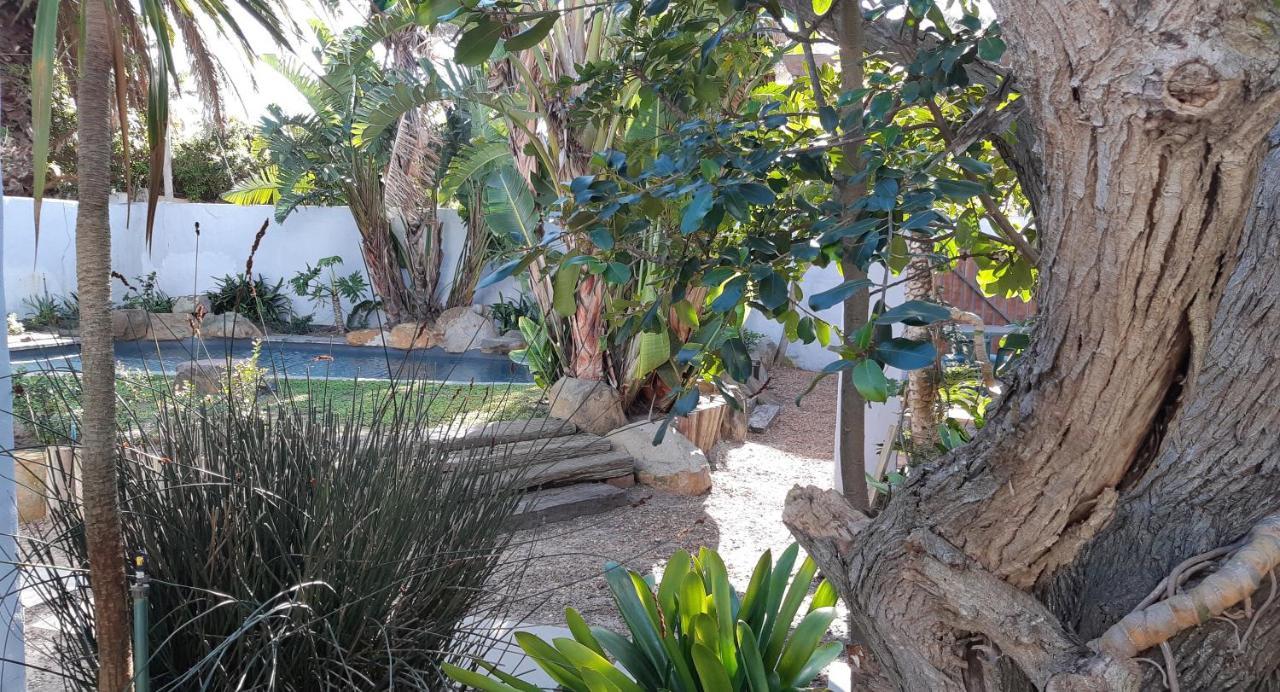 Be My Guest Lodge Bloubergstrand Eksteriør bilde