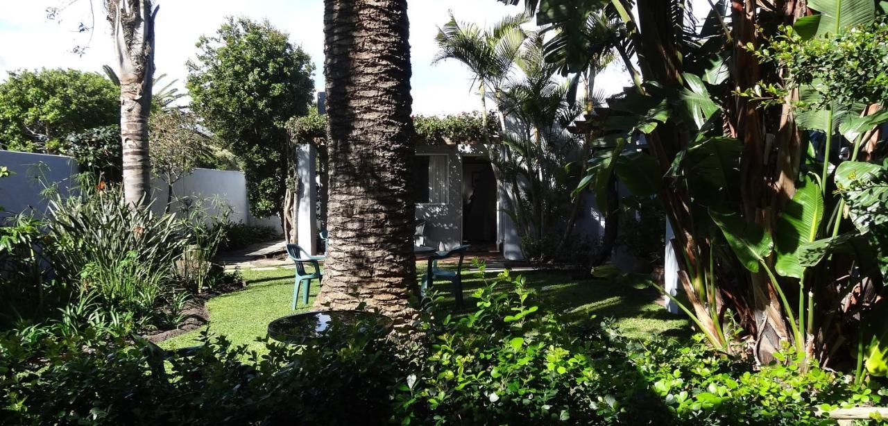 Be My Guest Lodge Bloubergstrand Eksteriør bilde